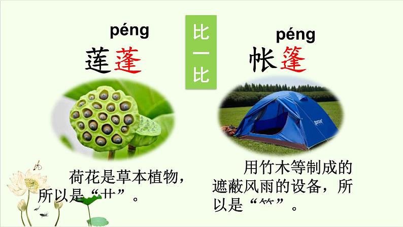 统编版语文三年级下册《3.荷花》(课件)第8页