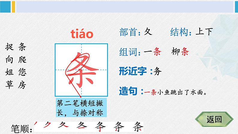 一年级语文下册生字笔顺20 小壁虎借尾巴(教学课件)第4页