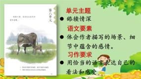 小学语文人教部编版五年级上册慈母情深背景图ppt课件