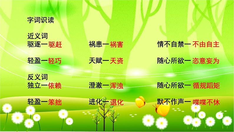 统编版语文五年级下册 23 童年的发现课件第5页