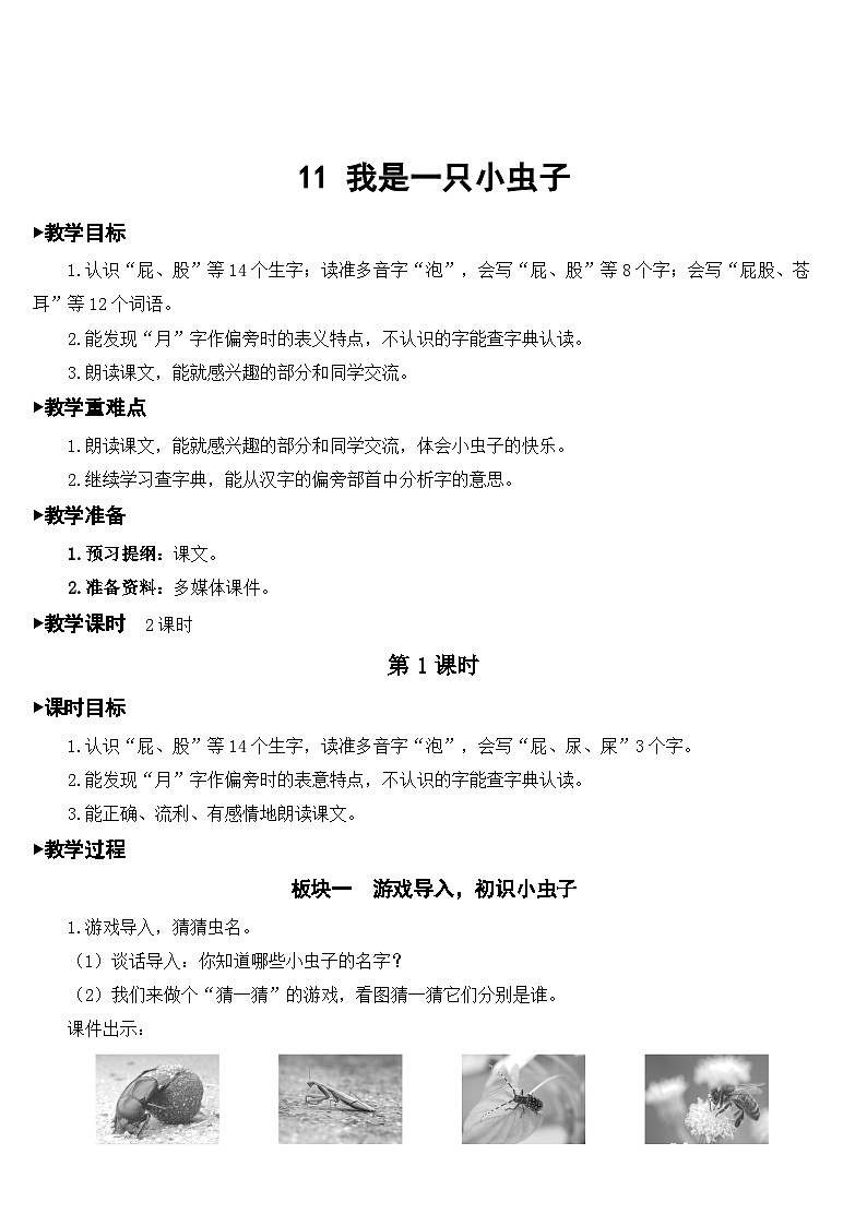 部编版小学语文二下11 我是一只小虫子课件+教案01