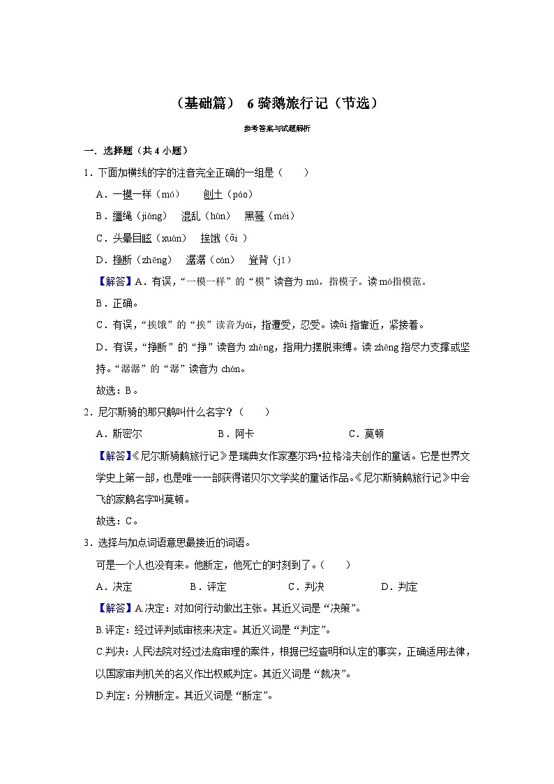 (基础篇)人教部编版六下语文6《骑鹅旅行记(节选)》同步分层作业第3页