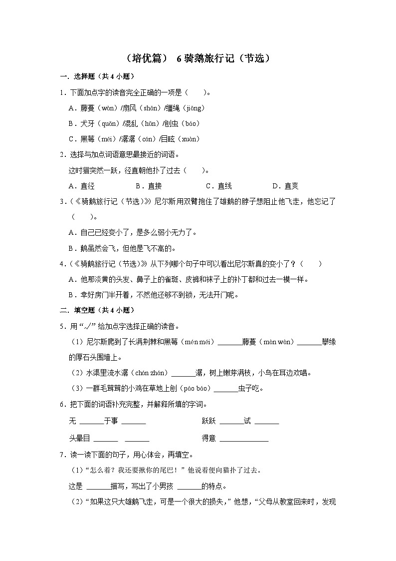 (培优篇)人教部编版六下语文6《骑鹅旅行记(节选)》同步分层作业第1页