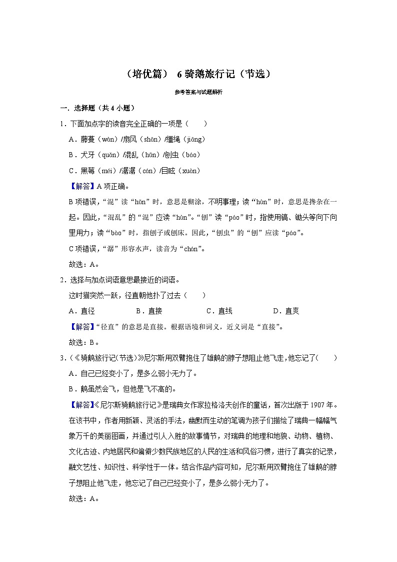 (培优篇)人教部编版六下语文6《骑鹅旅行记(节选)》同步分层作业第3页