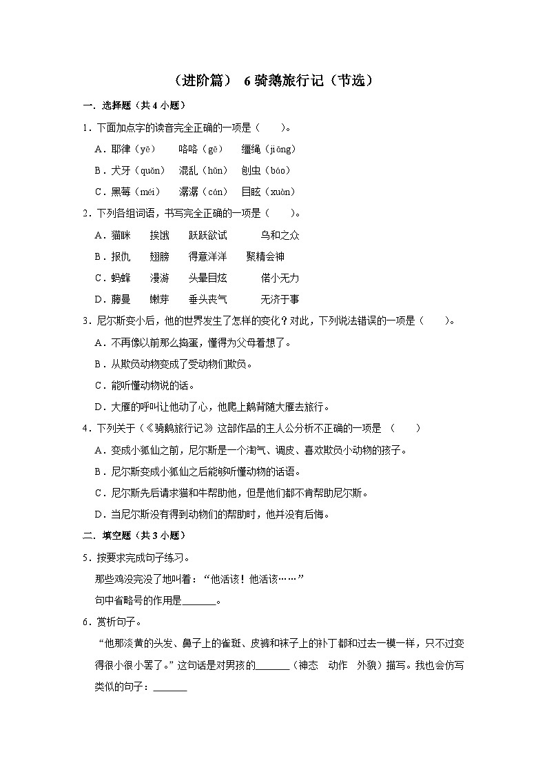 (进阶篇)人教部编版六下语文6《骑鹅旅行记(节选)》同步分层作业第1页