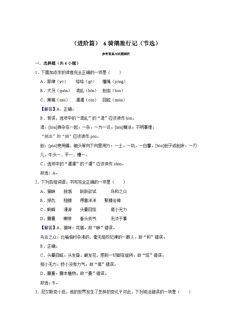 (进阶篇)人教部编版六下语文6《骑鹅旅行记(节选)》同步分层作业第3页