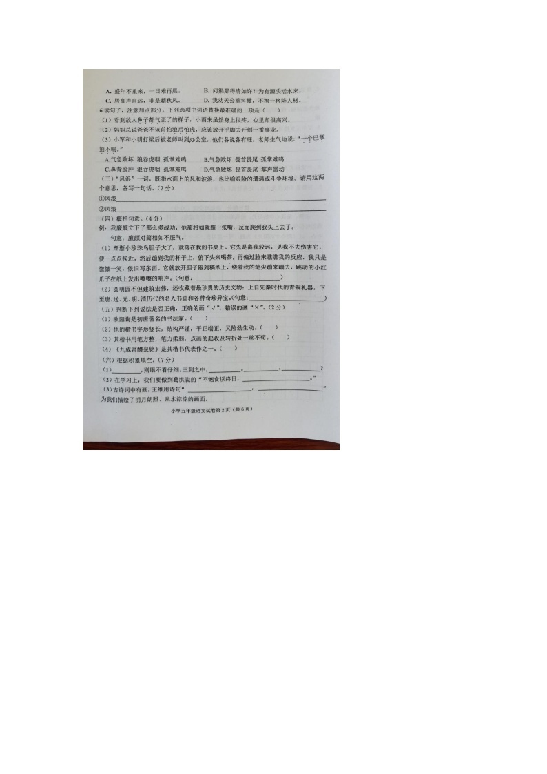 河北省沧州市青县2023-2024学年五年级上学期期末语文试卷02