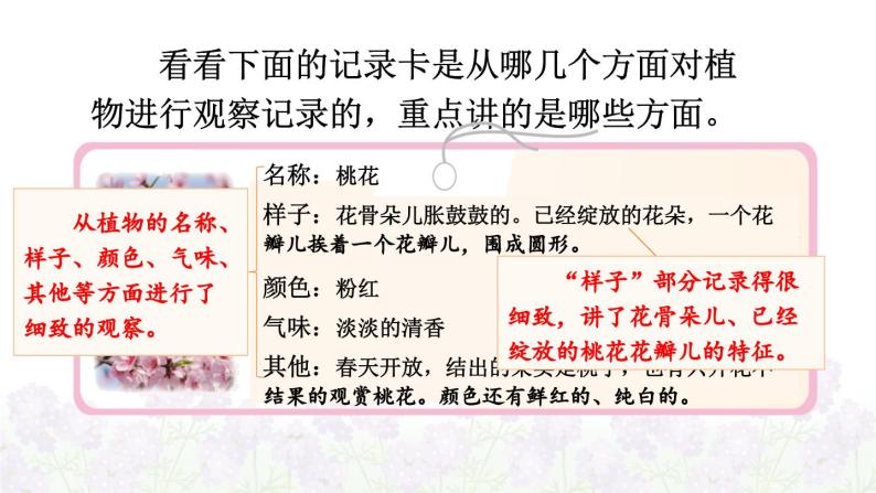 第一单元 习作：我的植物朋友 课件+教案04