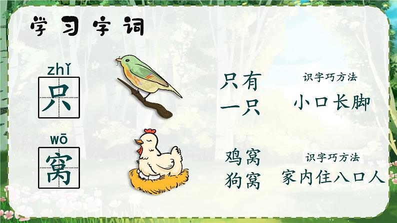 部编版小学语文一年级下册5.树和喜鹊 课件+教案07