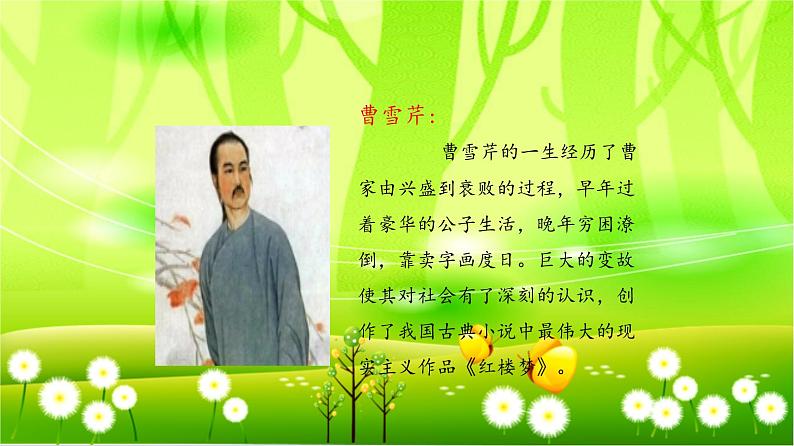 统编版语文五年级下册 8* 《红楼春趣》课件05