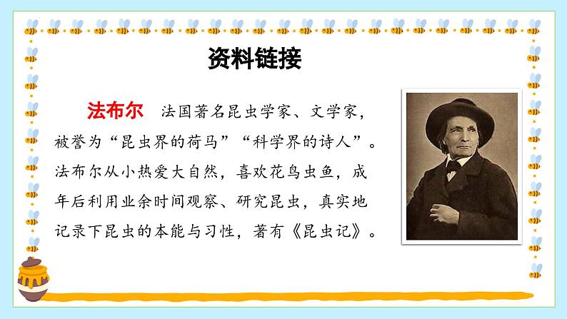 部编版语文三年级下册 第十四课《蜜蜂》(第一课时) 同步课件+同步教案07