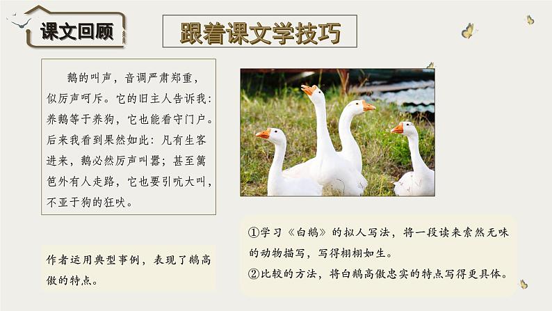 部编版语文四年级下册 习作:我的动物朋友 同步课件第8页