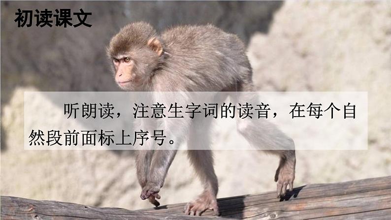 统编版语文一年级下册18 小猴子下山 课件第3页