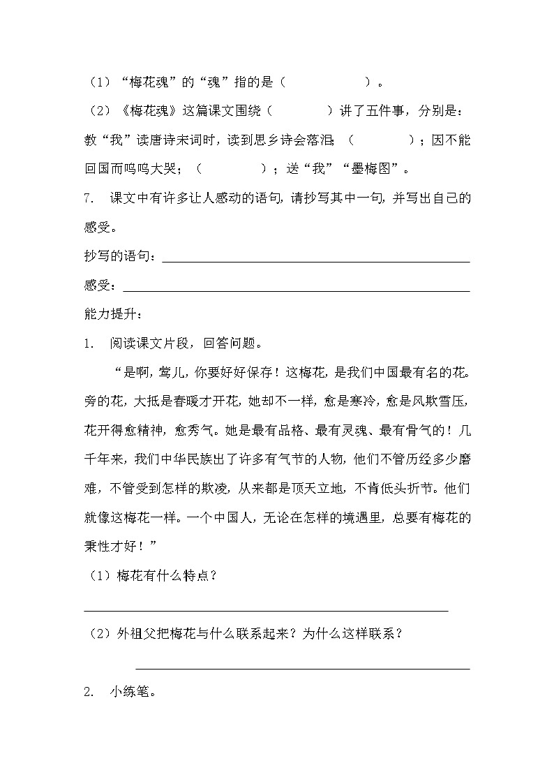 部编版五年级下册语文第四课《梅花魂》分层作业 分层同步练习题(含答案) (3)第2页