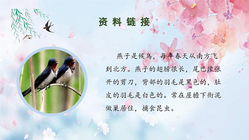 部编版语文三年级下册 第2课《燕子》(第一课时) 同步课件第4页