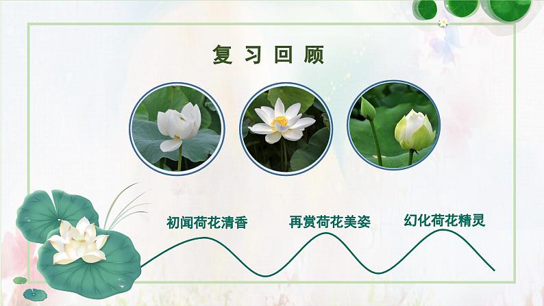 部编版语文三年级下册 第三课《荷花》(第二课时) 同步课件+同步教案02