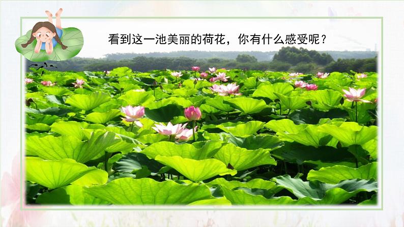 部编版语文三年级下册 第三课《荷花》(第二课时) 同步课件+同步教案03