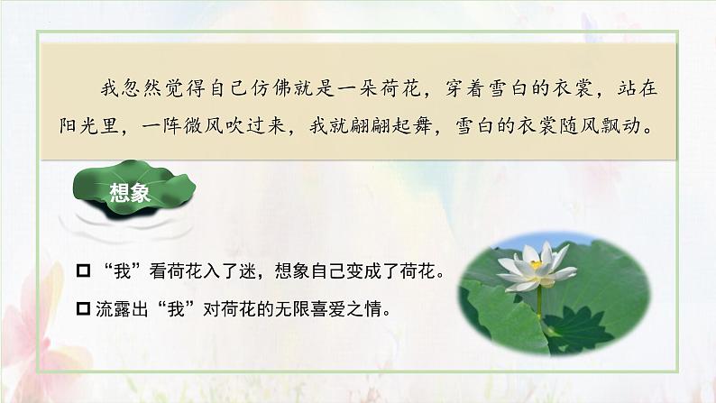 部编版语文三年级下册 第三课《荷花》(第二课时) 同步课件+同步教案06
