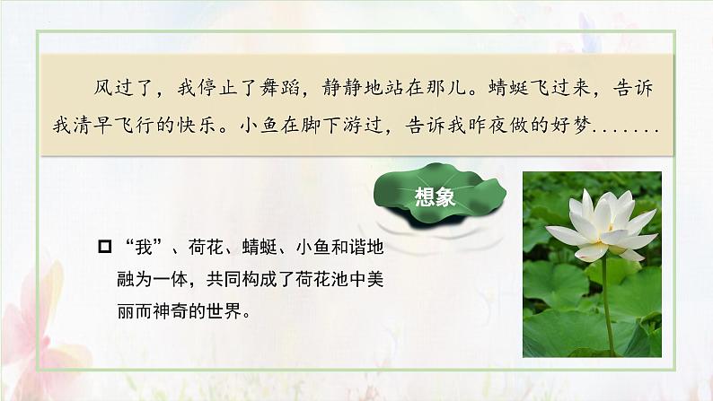 部编版语文三年级下册 第三课《荷花》(第二课时) 同步课件+同步教案07