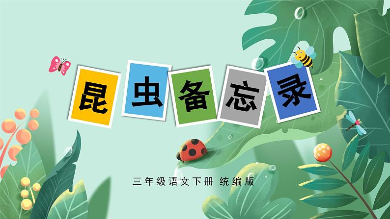 部编版语文三年级下册 第4课《昆虫备忘录》 同步课件+同步教案01