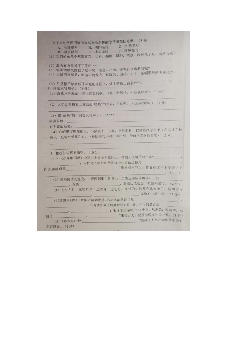 河南省南阳市南召县2023-2024学年五年级上学期期中语文试题(1)02