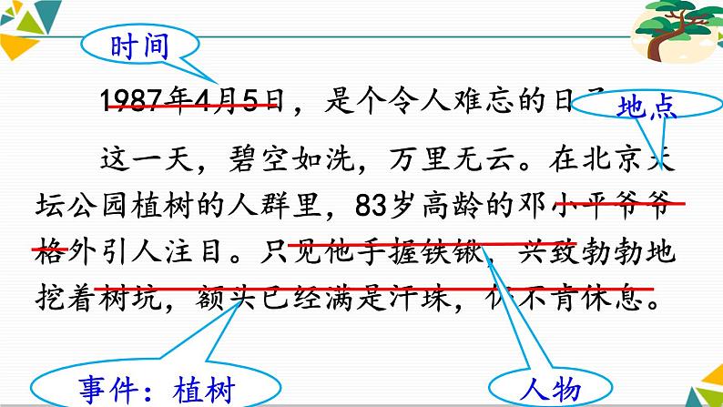邓小平爷爷植树PPT课件1第7页