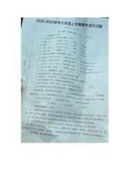 江苏省泰州市姜堰区2023-2024学年六年级上学期语文期末试题