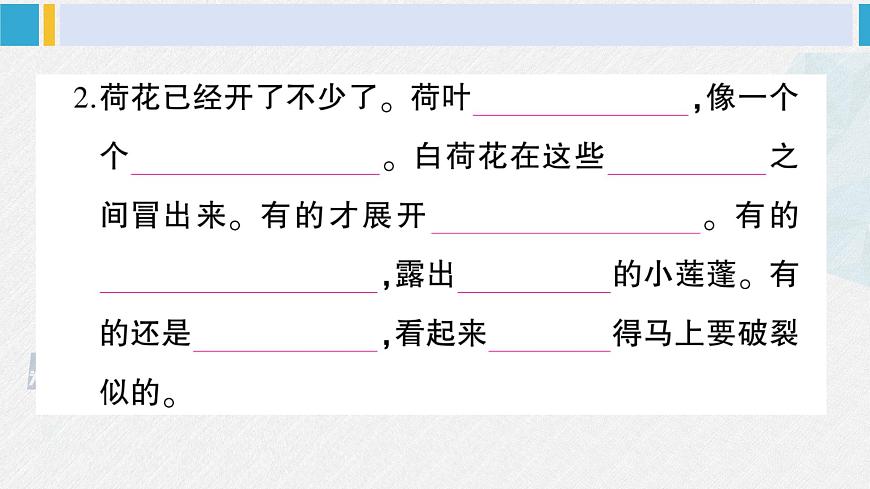 三年級語文下冊 積累與閱讀專項復習(課件)第3頁