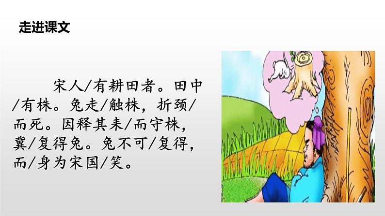 守株待兔PPT课件1第4页