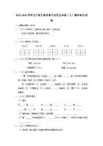 2023-2024学年辽宁省大连市普兰店区五年级上学期期末语文试卷（含答案）