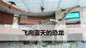 小学语文人教部编版四年级下册飞向蓝天的恐龙课文内容ppt课件