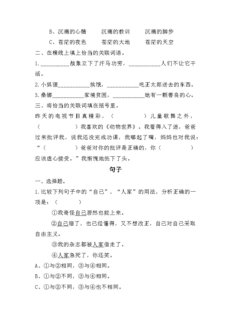 小升初专项提升一(试题) 统编版语文六年级下册第2页