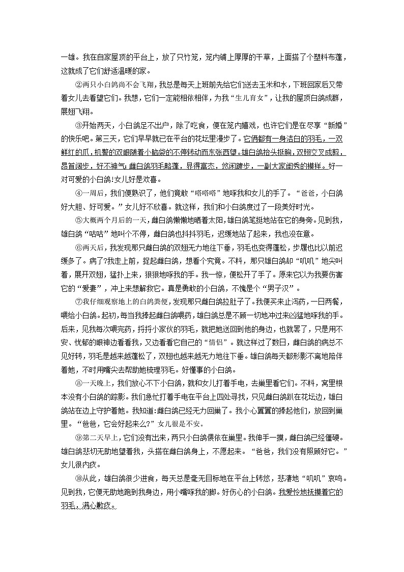 小升初阅读专项练习(试题)六年级下册语文部编版第2页