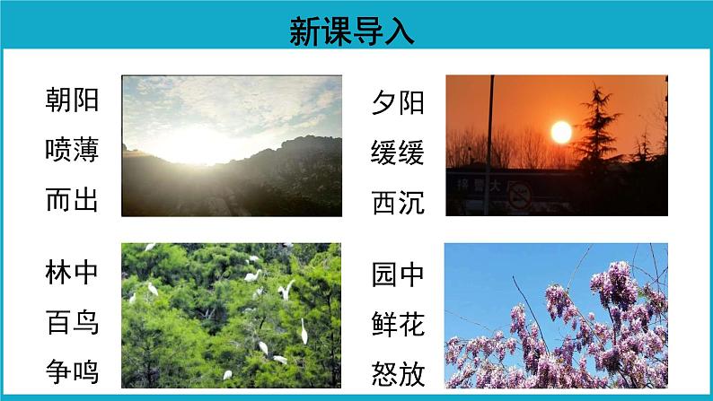 习作七《______即景》课件第2页