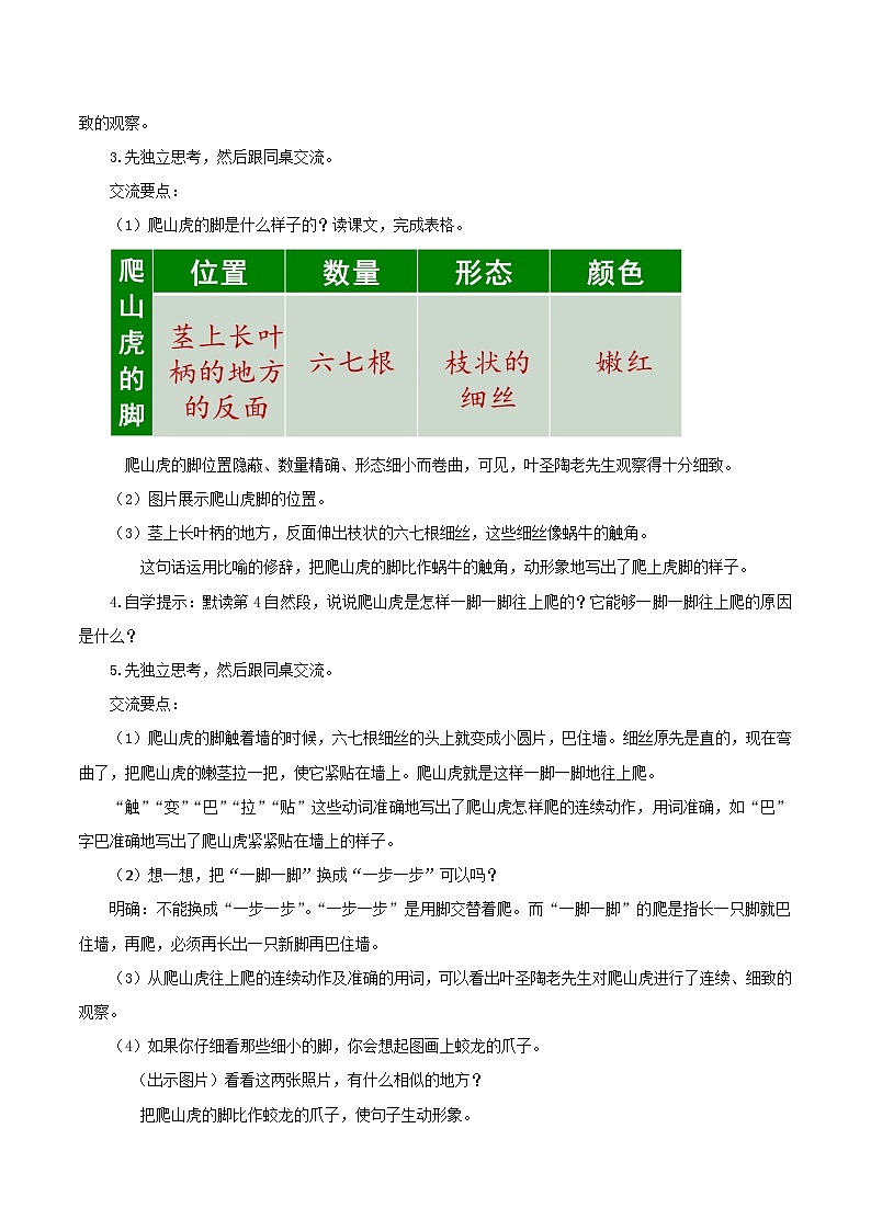 第十课《爬山虎的脚》(第二课时)(教学设计)-四年级语文上册同步高效课堂系列(+统编版)02