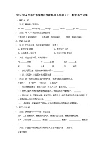 2023-2024学年广东省梅州市梅县区五年级上学期期末语文试卷（含答案）