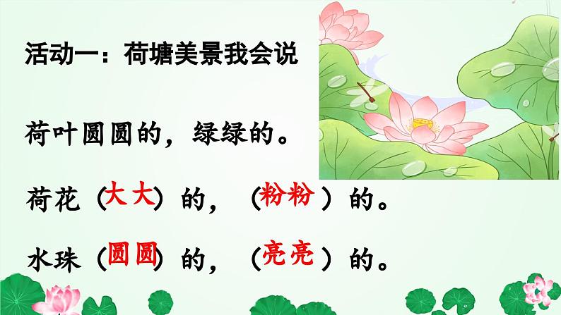 荷叶圆圆 课件第4页