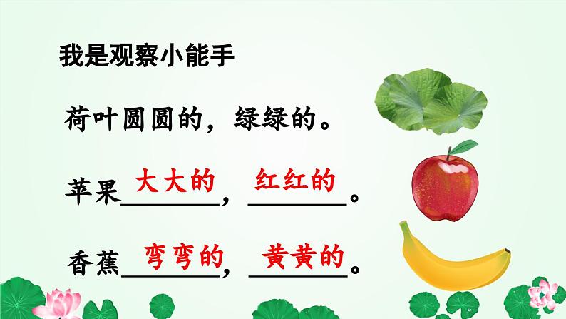 荷叶圆圆 课件第5页