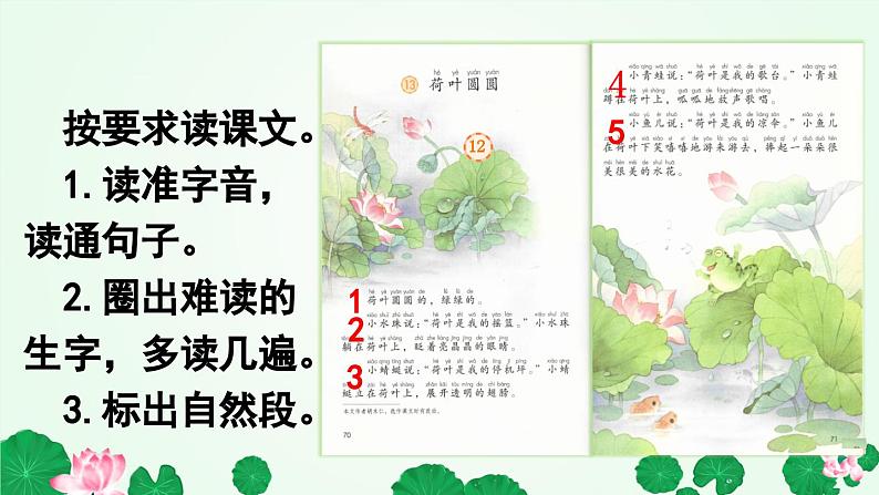 荷叶圆圆 课件第6页