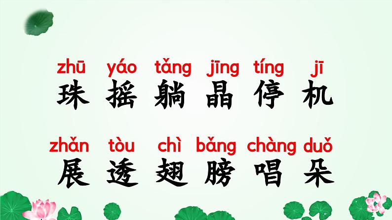 荷叶圆圆 课件第8页