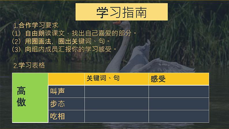 白鹅 第二课时 课件03