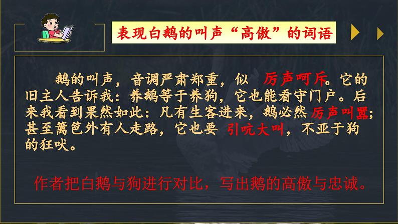 白鹅 第二课时 课件05