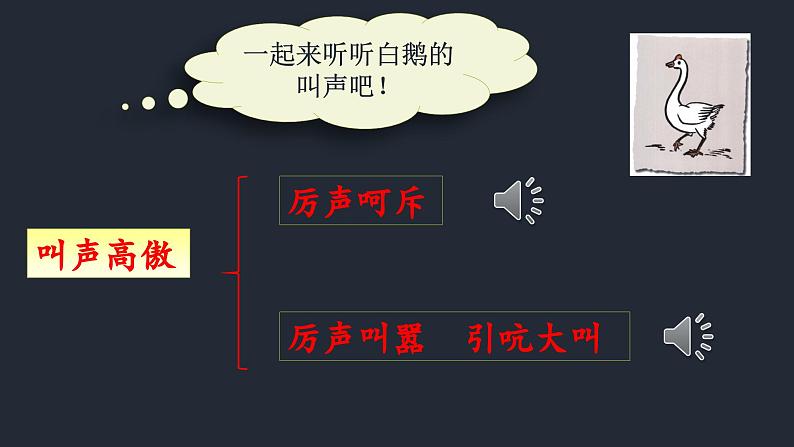白鹅 第二课时 课件06