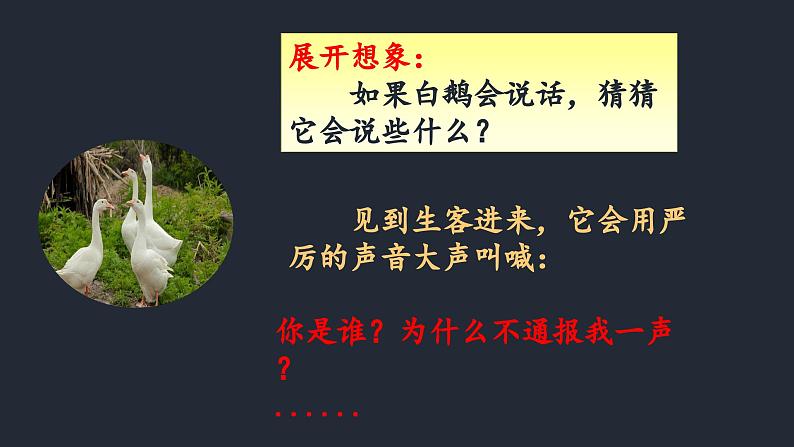 白鹅 第二课时 课件07