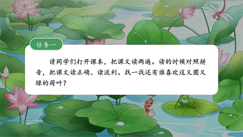 荷叶圆圆 课件第5页