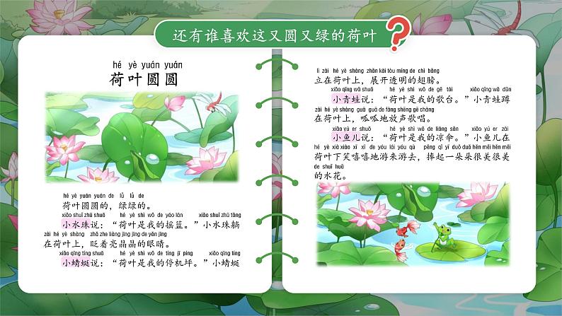 荷叶圆圆 课件第6页