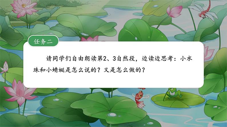 荷叶圆圆 课件第8页