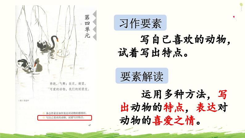 习作:我的动物朋友(上课课件)第3页