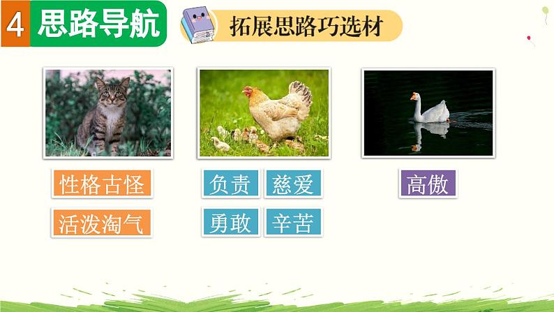 习作:我的动物朋友(上课课件)第7页