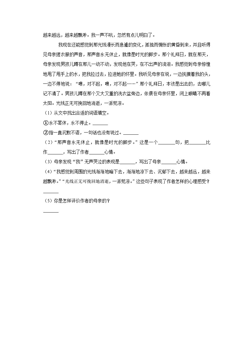 (进阶篇)人教部编版六下语文 同步分层作业9《那个星期天》第3页